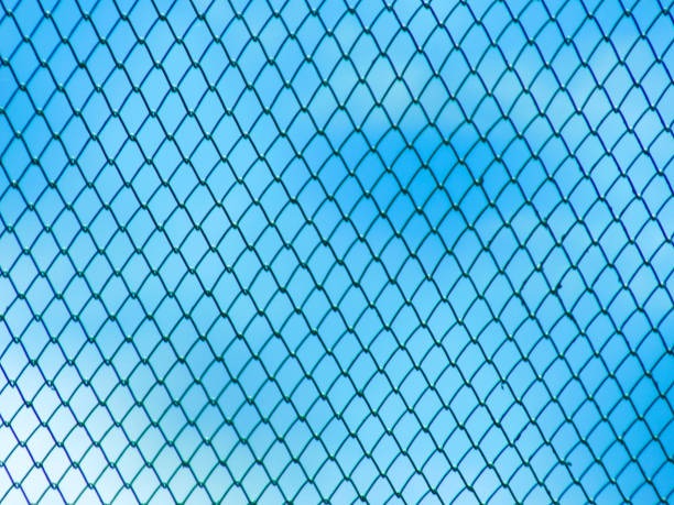 Zaeune fuer mehr Privatsphaere im Alltag sinnvoll einsetzen